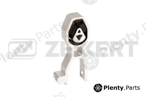Zekkert GM-4145 — Mounting, engine
