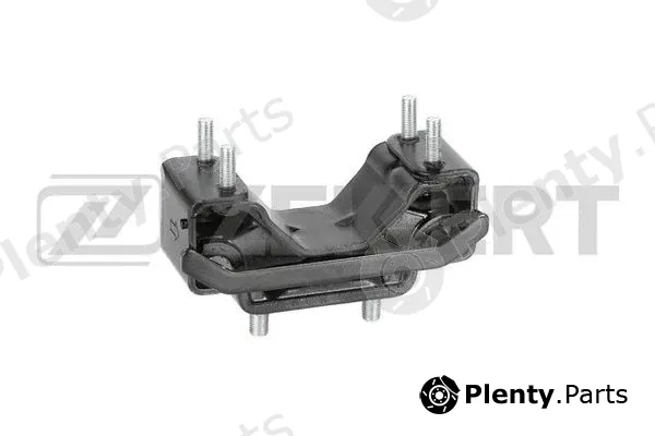 Zekkert GM-3981 — Mounting, engine
