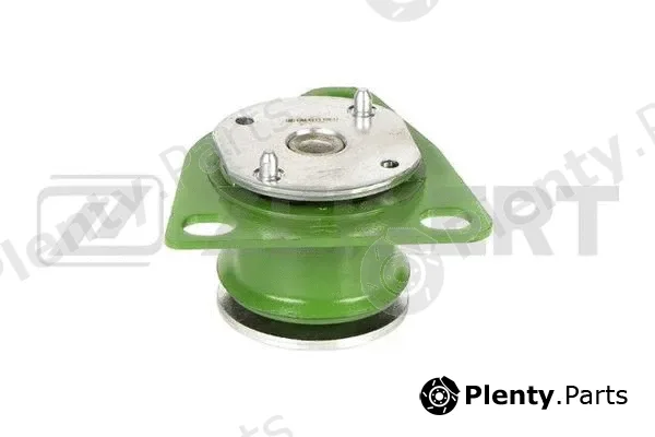 Zekkert GM-4213 — Mounting, engine