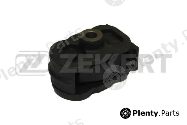 Zekkert GM-3432 — Mounting, engine