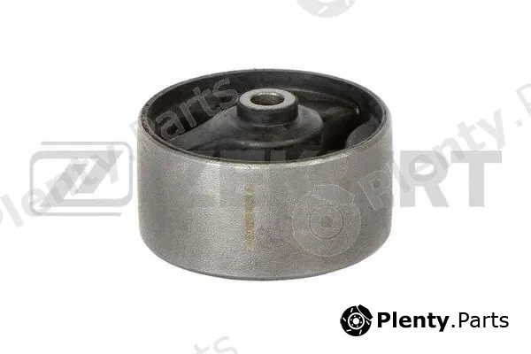 Zekkert GM-5276 — Mounting, engine