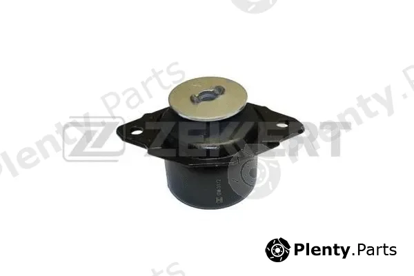 Zekkert GM-3012 — Mounting, engine