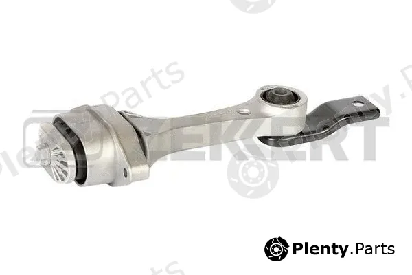 Zekkert GM-3174 — Mounting, engine
