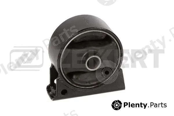 Zekkert GM-4205 — Mounting, engine
