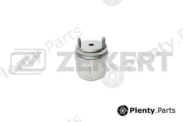 Zekkert GM-3037 — Mounting, engine