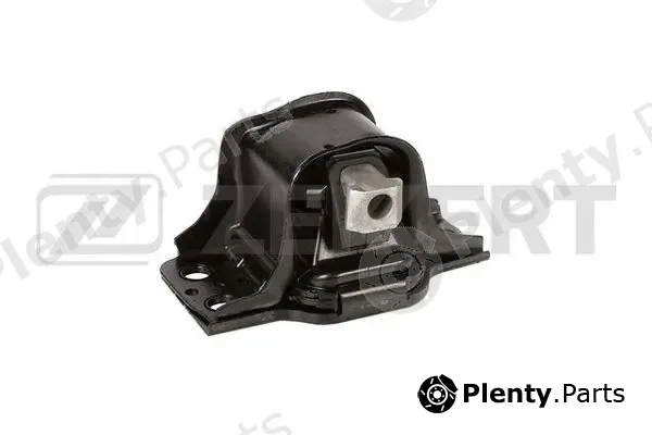 Zekkert GM-4212 — Mounting, engine