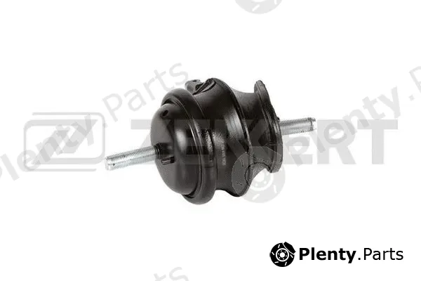 Zekkert GM-4165 — Mounting, engine