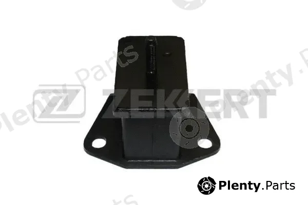 Zekkert GM-3348 — Mounting, engine