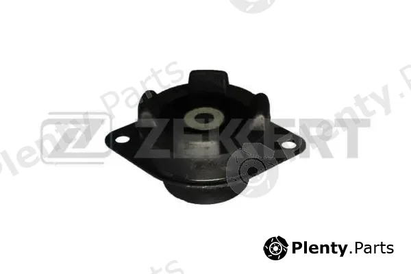 Zekkert GM-3594 — Mounting, engine