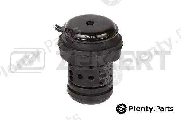 Zekkert GM-3245 — Mounting, engine