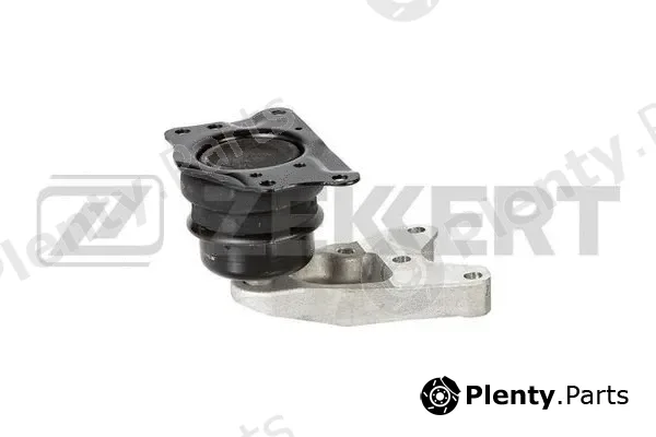 Zekkert GM-4066 — Mounting, engine