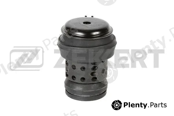 Zekkert GM-3978 — Mounting, engine