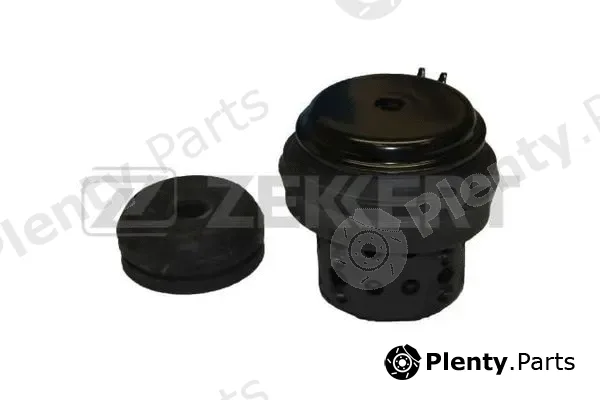 Zekkert GM-3009 — Mounting, engine