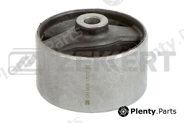 Zekkert GM-6626 — Mounting, engine