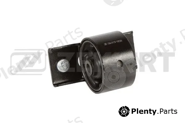 Zekkert GM-4179 — Mounting, engine