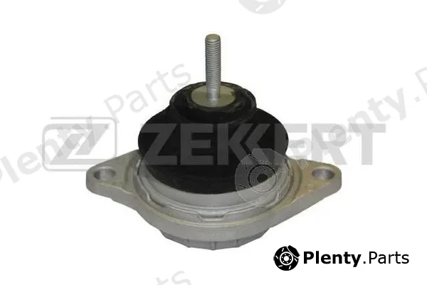 Zekkert GM-3031 — Mounting, engine