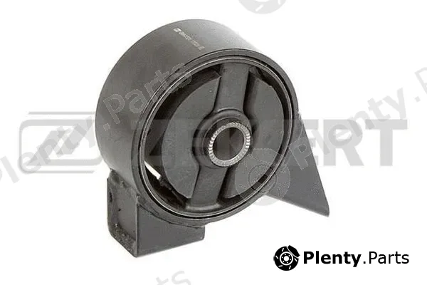 Zekkert GM-3331 — Mounting, engine