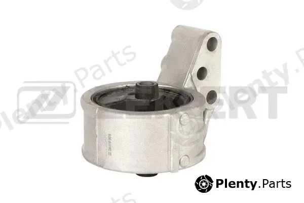 Zekkert GM-4116 — Mounting, engine
