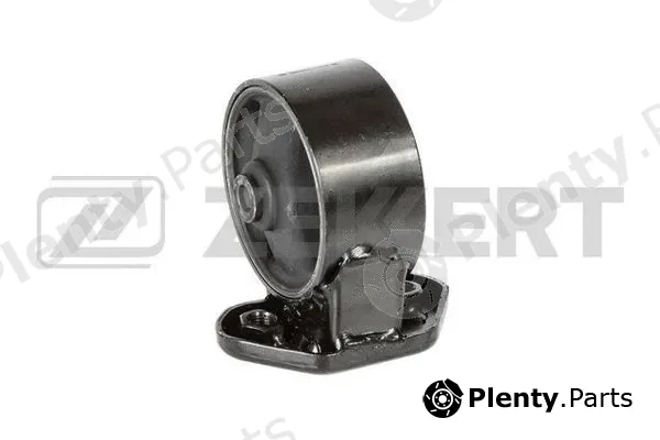 Zekkert GM-4130 — Mounting, engine