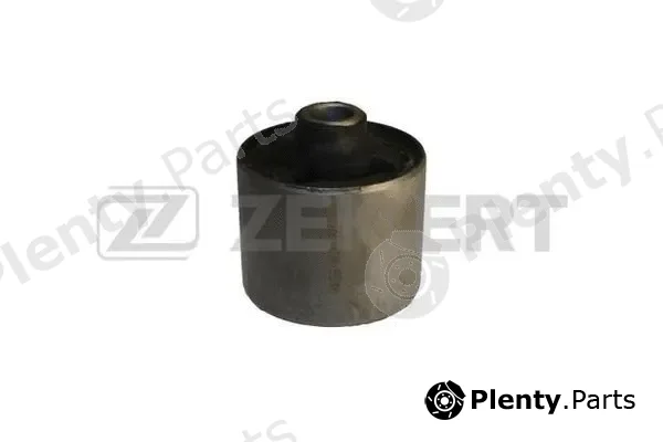 Zekkert GM-5598 — Mounting, differential