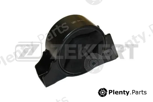 Zekkert GM-3444 — Mounting, engine