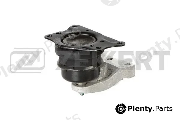 Zekkert GM-3162 — Mounting, engine