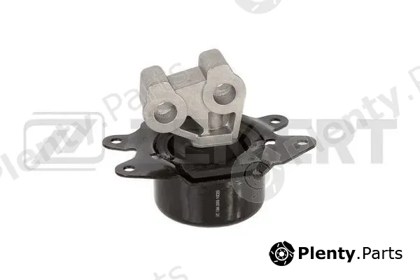 Zekkert GM-3069 — Mounting, engine