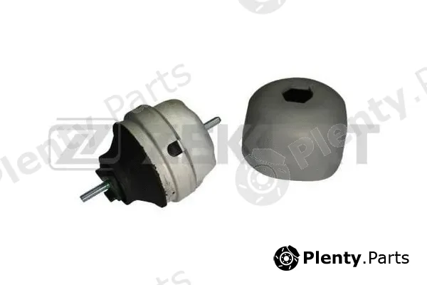 Zekkert GM-3029 — Mounting, engine