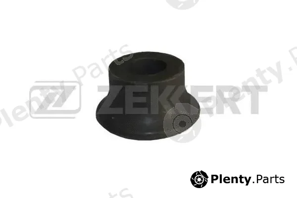 Zekkert GM-3021 — Mounting, engine