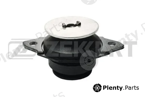 Zekkert GM-3011 — Mounting, engine