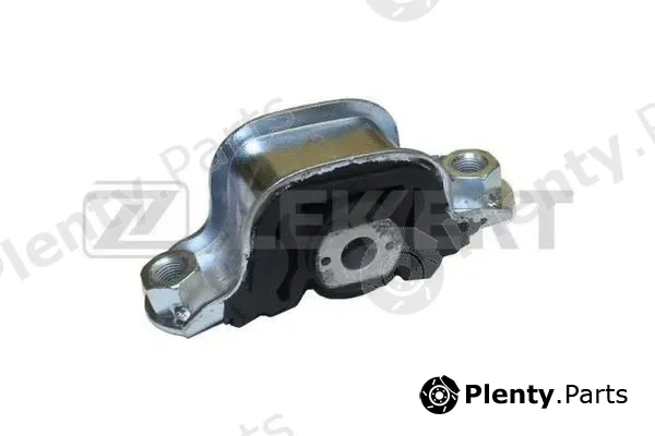 Zekkert GM-3104 — Mounting, engine