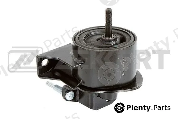 Zekkert GM-3456 — Mounting, engine
