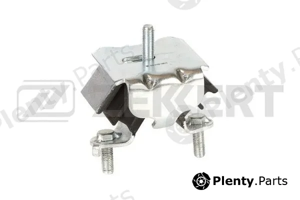 Zekkert GM-4152 — Mounting, engine