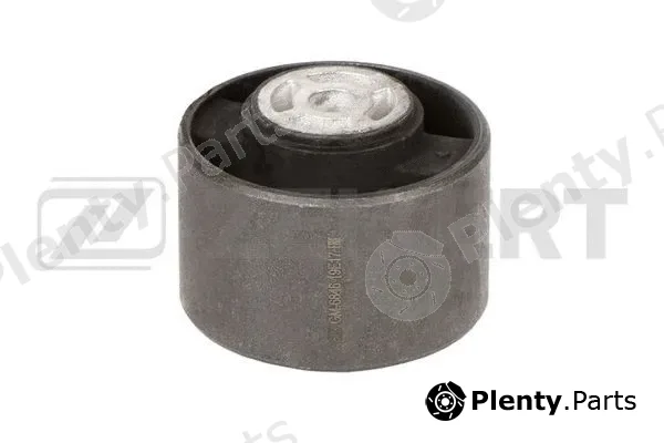 Zekkert GM-6846 — Mounting, engine