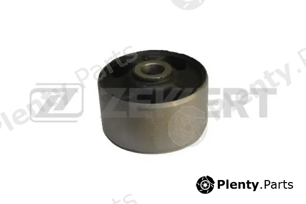 Zekkert GM-5647 — Mounting, differential