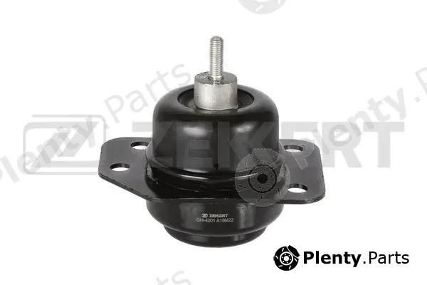 Zekkert GM-4201 — Mounting, engine