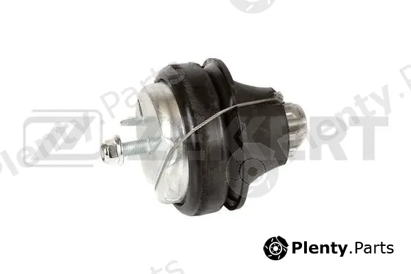 Zekkert GM-4146 — Mounting, engine