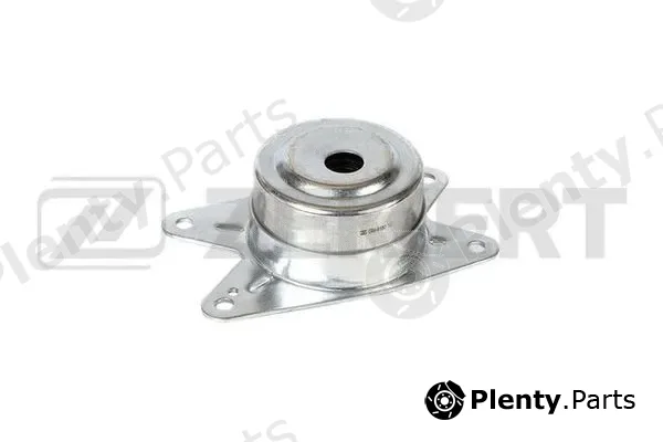 Zekkert GM-4180 — Mounting, engine