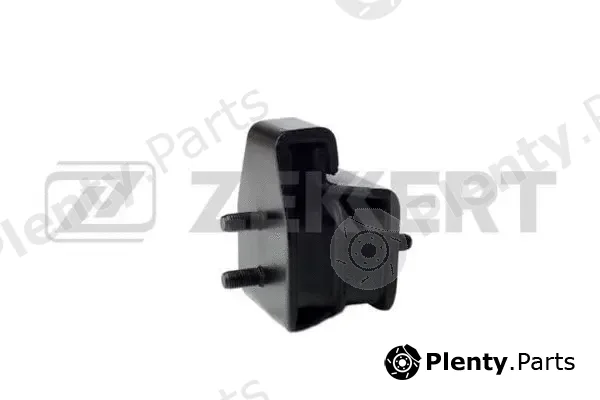 Zekkert GM-3484 — Mounting, engine