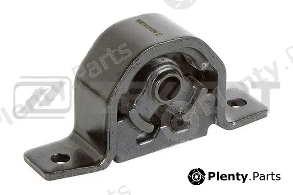 Zekkert GM-3438 — Mounting, engine