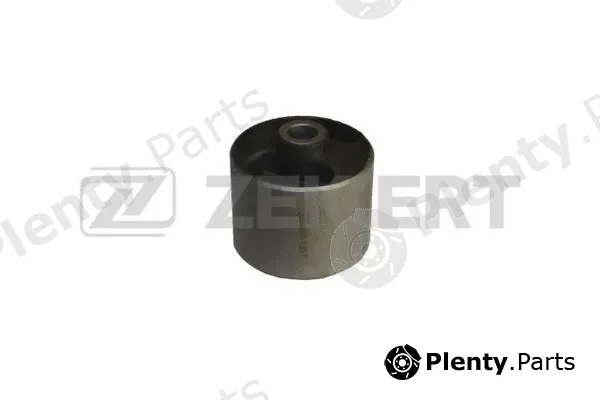 Zekkert GM-5581 — Mounting, differential