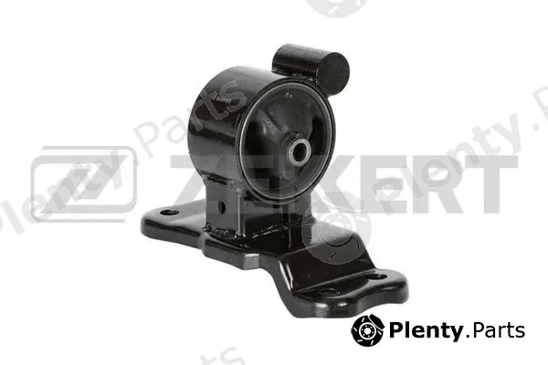 Zekkert GM-3974 — Mounting, engine