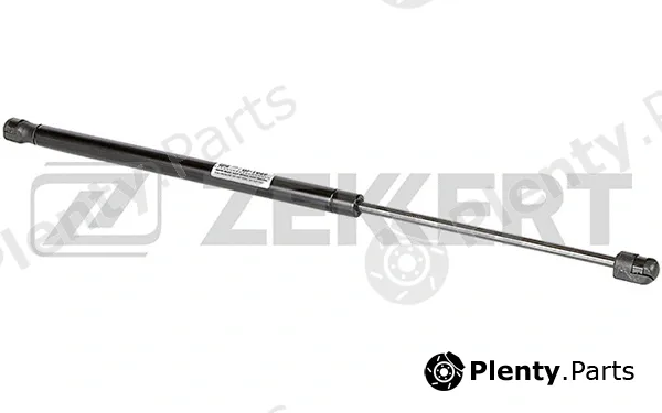 Zekkert GF-1949 — Gas Spring, boot/cargo area