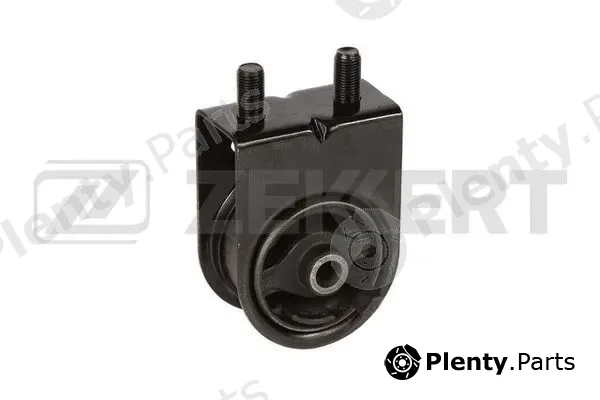 Zekkert GM-4106 — Mounting, engine