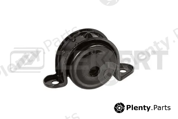 Zekkert GM-4162 — Mounting, engine
