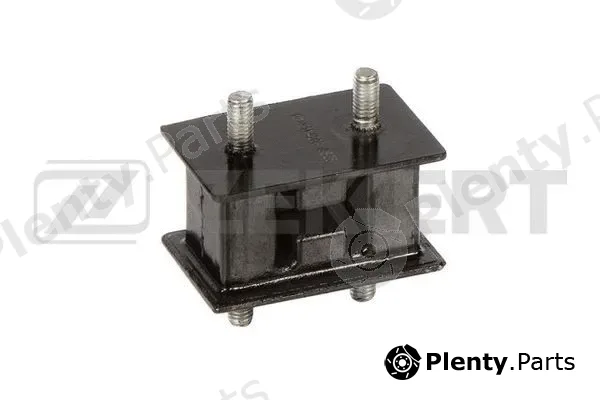 Zekkert GM-4209 — Mounting, engine