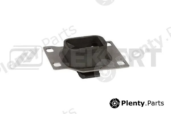 Zekkert GM-4027 — Mounting, engine