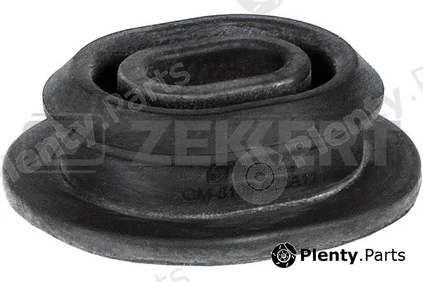 Zekkert GM-8109 — Radiator Mounting