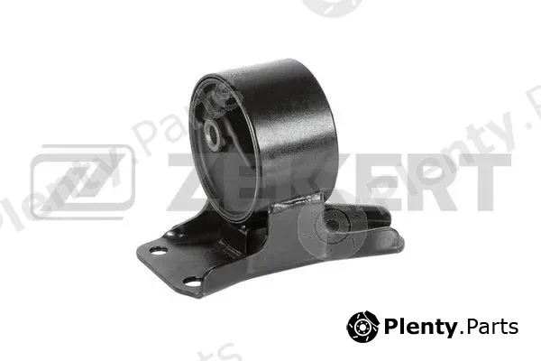 Zekkert GM-4187 — Mounting, engine