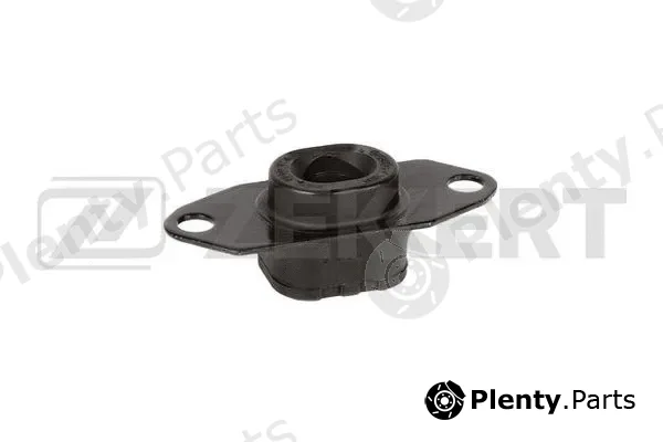 Zekkert GM-4198 — Mounting, engine
